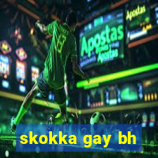 skokka gay bh